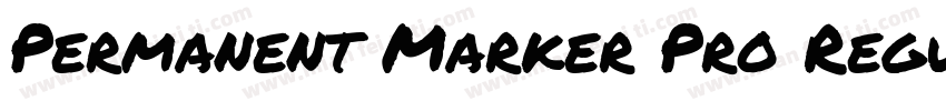 Permanent Marker Pro Regula字体转换